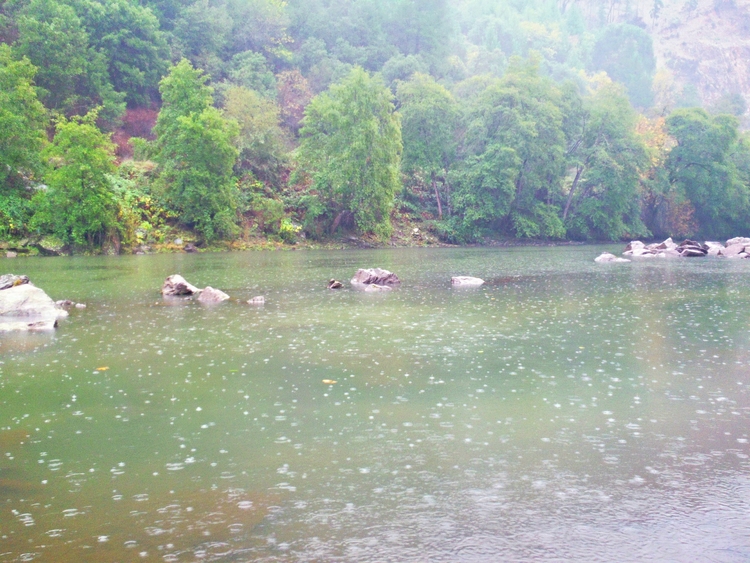  Soft rain on the South fork of the American near Placerville CA 