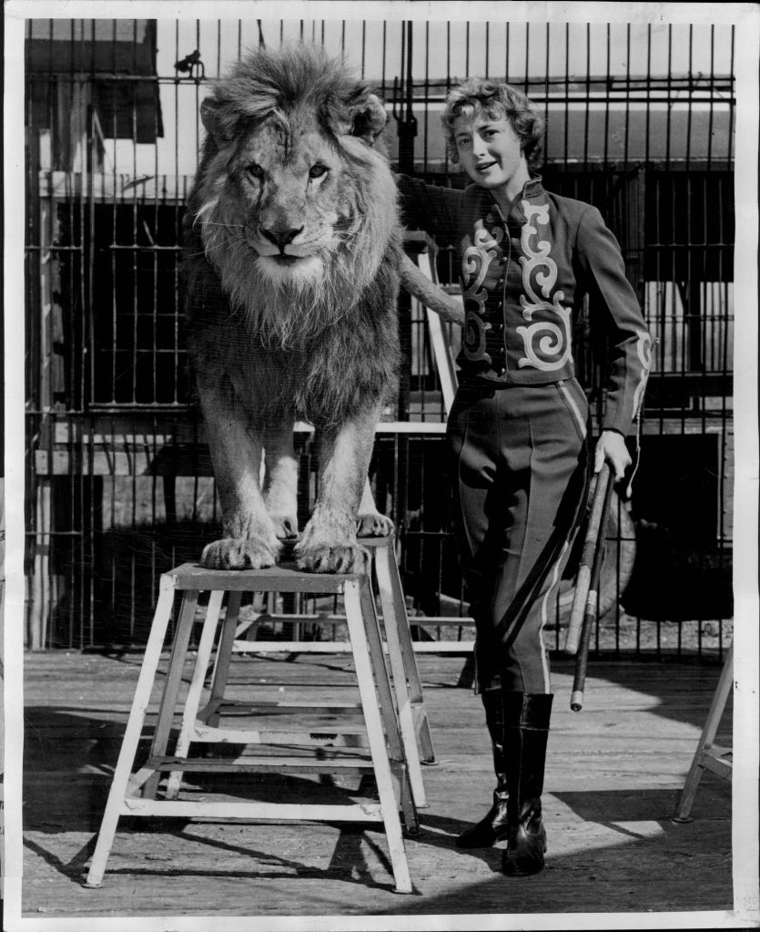 The Circus "NO SPIN ZONE": Ghost Zoo--Crandon Park, North Miami, Fla.